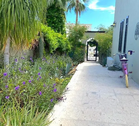 Spectacular Vacation Ocean View Walk To