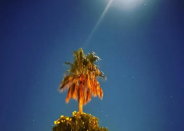 Spectacular Vacation Ocean View Walk To Cabo San Lucas