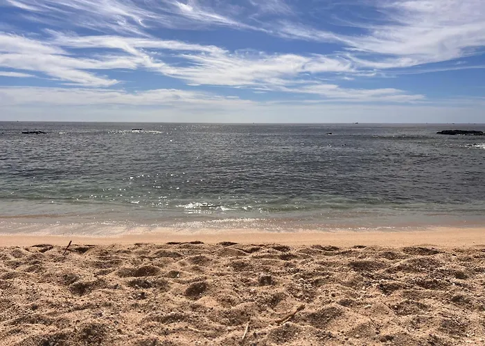 Spectacular Vacation Ocean View Walk To Cabo San Lucas