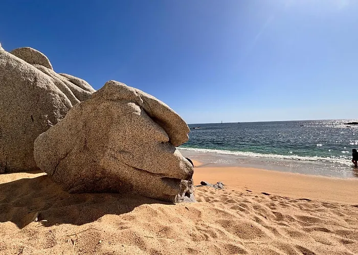 Сasa de vacaciones Spectacular Vacation Ocean View Walk To Cabo San Lucas